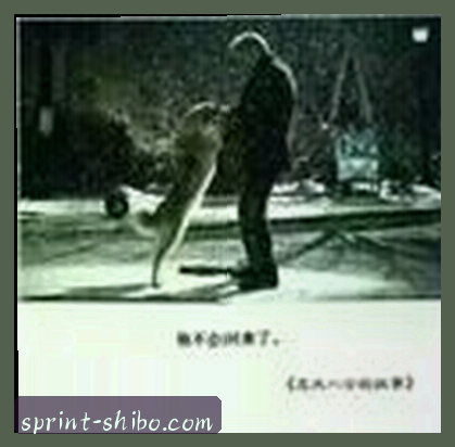 赵敏